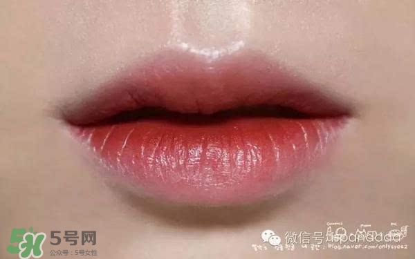 ������ں�ʲô���Ӻã�������ں��Ƽ�